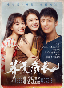 进攻的高潮